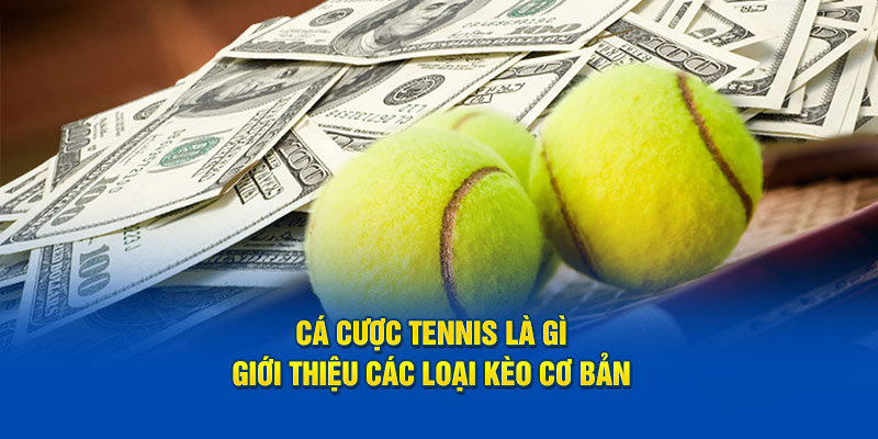 Cá Cược Tennis Là Gì - Giới Thiệu Các Loại Kèo Cơ Bản