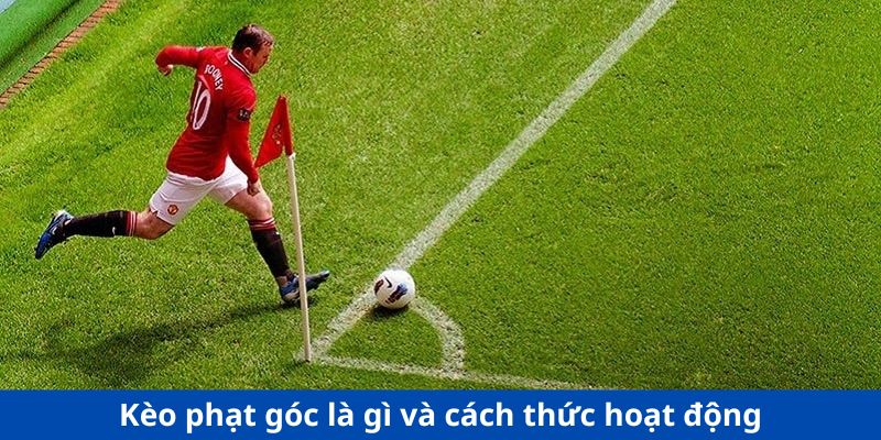 Soi kèo phạt góc là gì